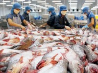 more than 400 records of imported seafood quality certification have been settled through the electronic system