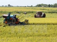 proposal on abolishing a series of business conditions for rice exports