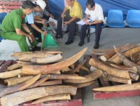 ho chi minh city focusing on smuggled goods inspection from the gate to the market