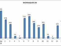 the customs consulting department responded with 100000 answers for enterprises