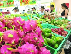 Many opportunities for Vietnamese agricultural products to enter the Russian market