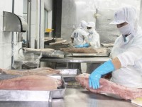 financial report for fourth quarter seafood enterprises gain good revenue