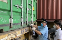 GDVC guides customs procedures for goods in transit