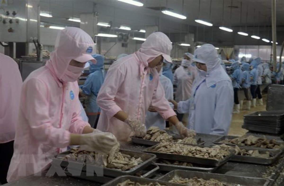 A canned fish factory in the Tac Cau Fishing Port's Industrial Park in Binh An commune of Chau Thanh district, Kien Giang province