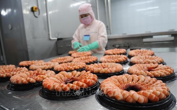 Big room for shrimp industry to increase exports: VASEP hinh anh 1