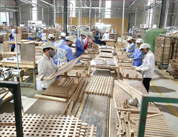 Workshop talks long-term development strategy for wood industry hinh anh 1