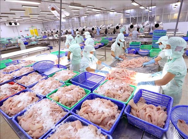 Aquatic product exports up 3 percent in Q1 hinh anh 1