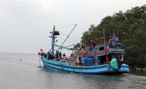 Kien Giang making every effort to fight IUU fishing hinh anh 2