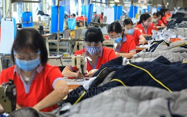 Domestic labour market bouncing back: GSO hinh anh 1