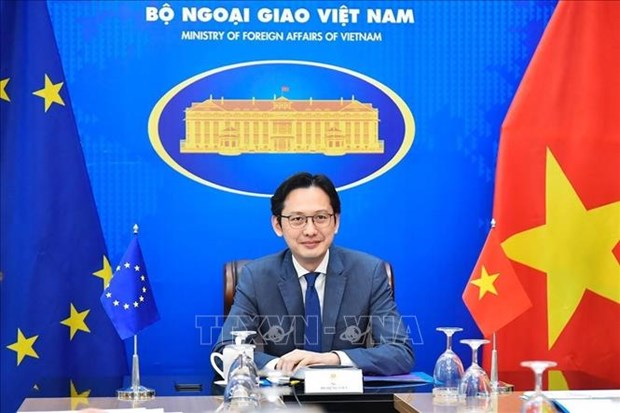 Vietnam, EU work to expand cooperation in priority areas hinh anh 1