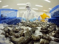 china opens market for three more kinds of vienamese aquatic products