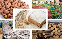 agricultural exports target us 42 billion