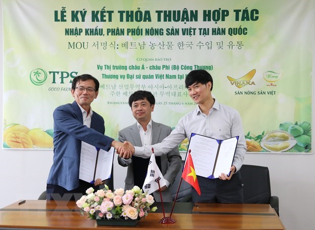 Vietnamese farm produce popularised in RoK hinh anh 1