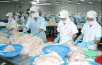 role of vietnam customs in implementing the evfta