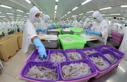 CPTPP prompts Vietnam’s aquatic exports to Japan