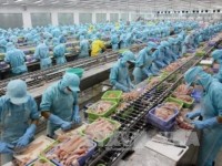 the customs proposes to handle problem in implementing the decree on food safety