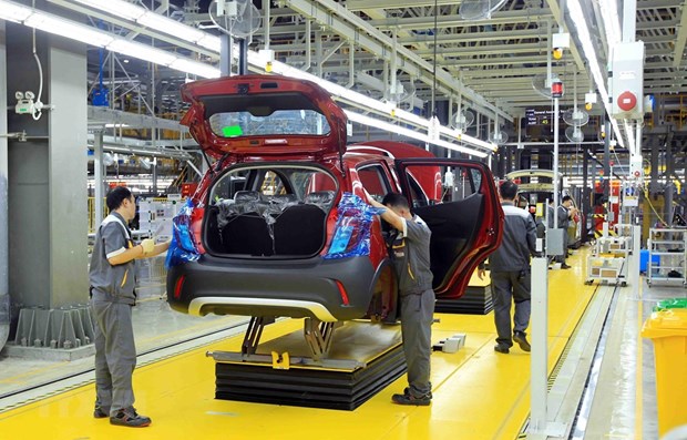 Vietnam, India have potential for automobile cooperation: insiders hinh anh 1