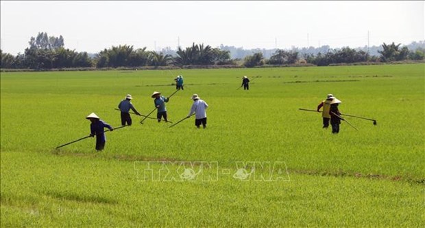 Addressing agricultural emissions key to green production in Vietnam hinh anh 2