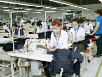 textile and garment export in 2018 shall be better than 2017