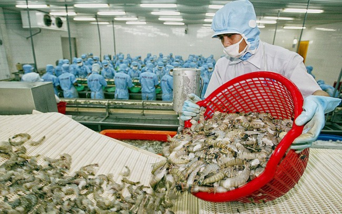  Vietnamese shrimp exports to the EU market are anticipated to surge during the remaining months of the year&amp;#10; 