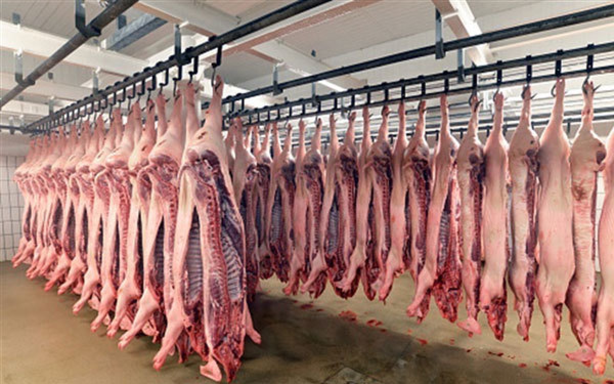 Pig carcasses hang at a slaughterhouse Demand for livestock products is expected to rise over the next ten years. (Photo thoibaokinhdoanh.vn)