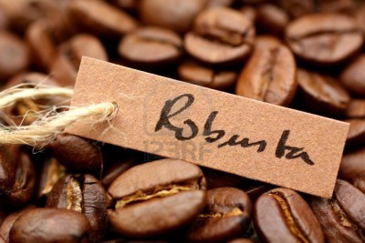 With the rising consumption of instant coffee, Vietnam becomes the world's biggest producer of robusta and Japan's top supplier of coffee beans