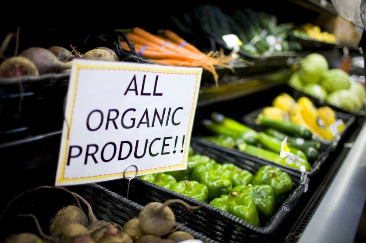 Vietnam shows great potential for organic agricultural produce exports 