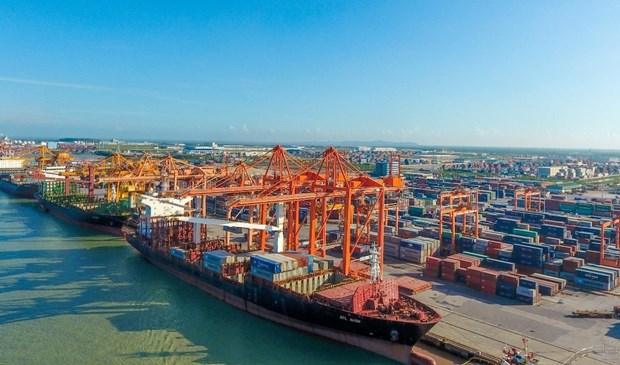 Vietnam looks to upgrade int'l merchant fleet hinh anh 1