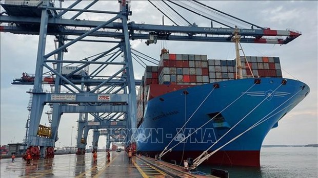 Vietnamese merchant fleet to handle 20% of imports &amp; exports by 2030 hinh anh 1