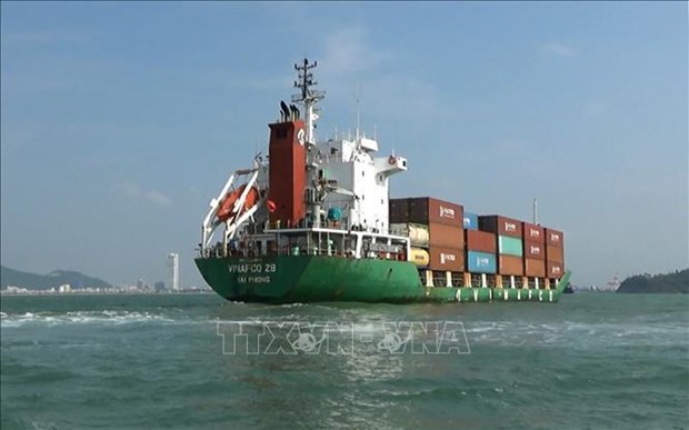 Vietnamese merchant fleet to handle 20% of imports &amp; exports by 2030 hinh anh 2