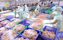 Fishery export completely recovers after COVID-19: official