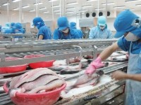 viet nam seafood exports endless obstacles