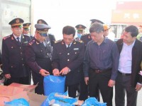 hard to settle criminal case of shipments of khat leaves in hai phong due to unclear regulations