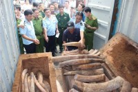 prosecuting a criminal case of illegal transport of nearly 900 kgs of ivory